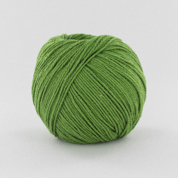 Fonty O'Hara