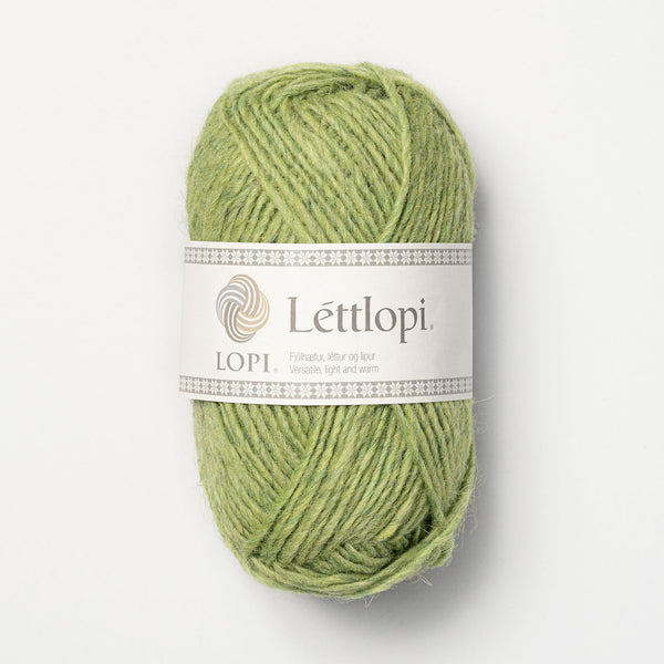 Léttlopi