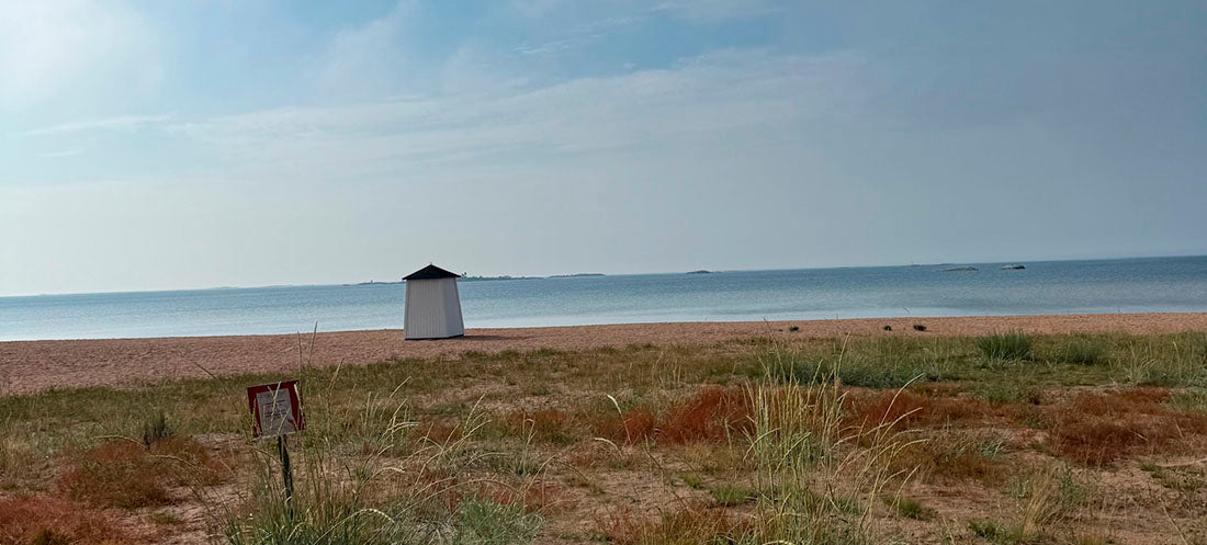 Neulonta­retriitti